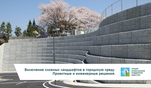 Вебинар «Включение сложных ландшафтов в городскую среду. Проектные и инженерные решения»